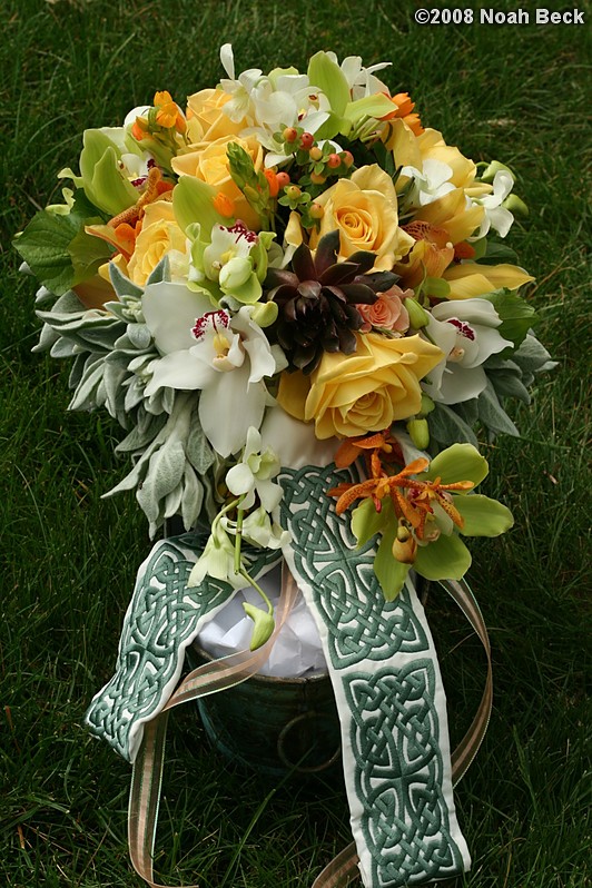 June 1, 2008: Elevated centerpiece