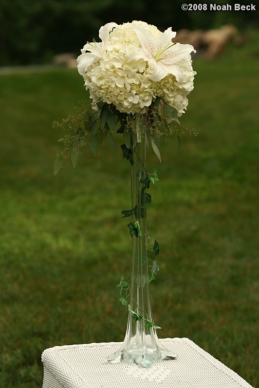 June 29, 2008: Elevated centerpiece