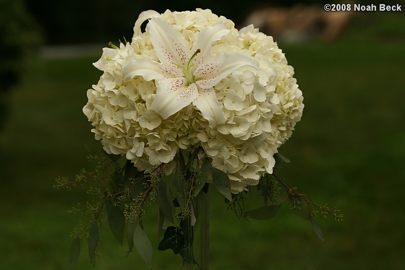 June 29, 2008: Elevated centerpiece