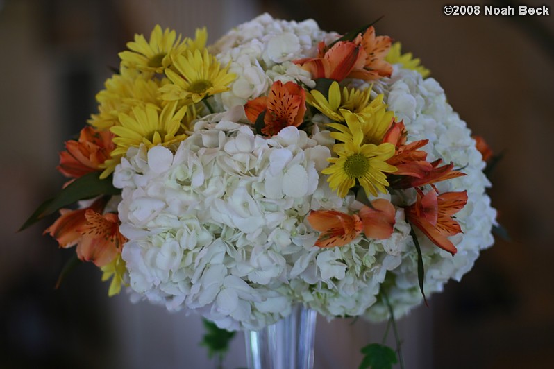 October 18, 2008: elevated floral centerpiece