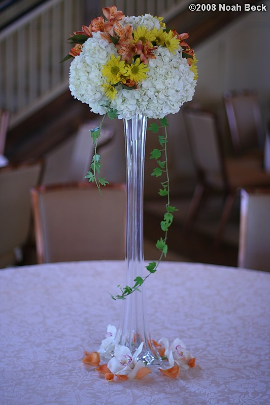 October 18, 2008: elevated floral centerpiece