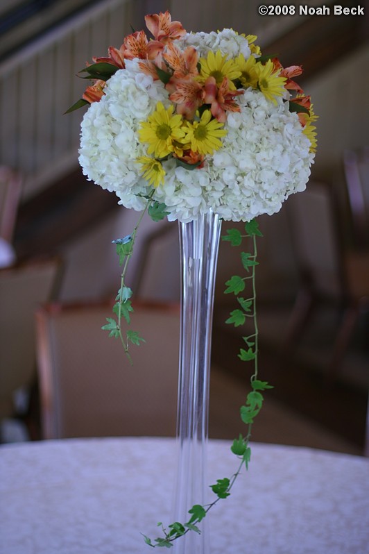 October 18, 2008: elevated floral centerpiece