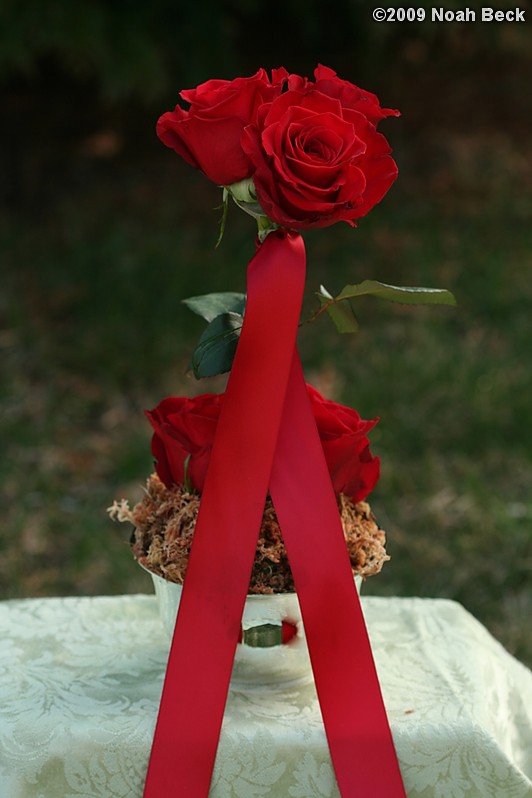 April 12, 2009: elevated floral centerpiece