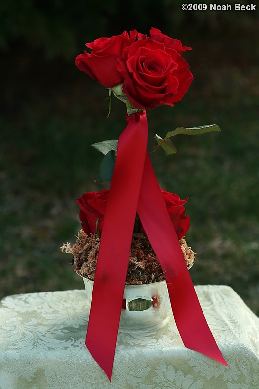 April 12, 2009: elevated floral centerpiece