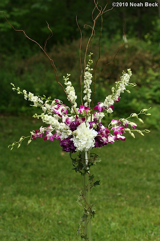 May 30, 2010: Elevated floral centerpiece