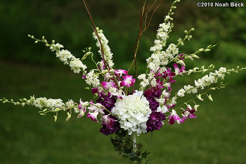 May 30, 2010: Elevated floral centerpiece