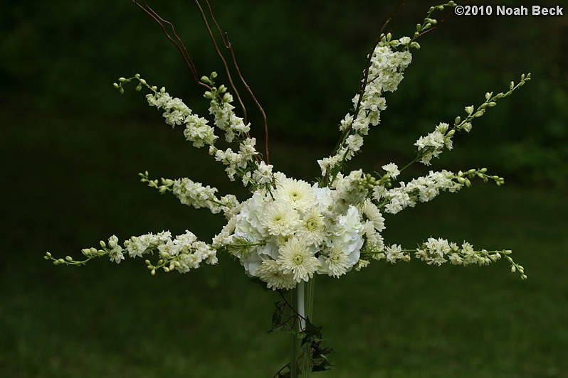 May 30, 2010: Elevated floral centerpiece