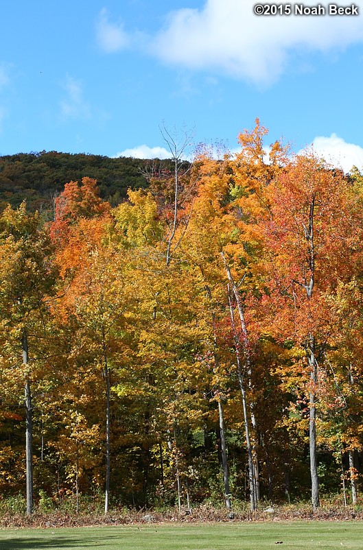 October 18, 2015: Fall colors in Princeton