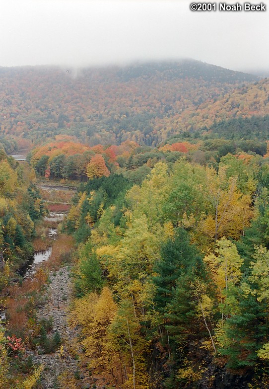 October 20, 2001: Fall foliage