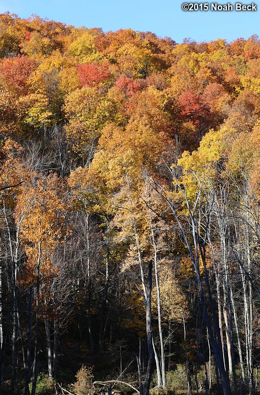 October 30, 2015: Fall foliage along Rt 31