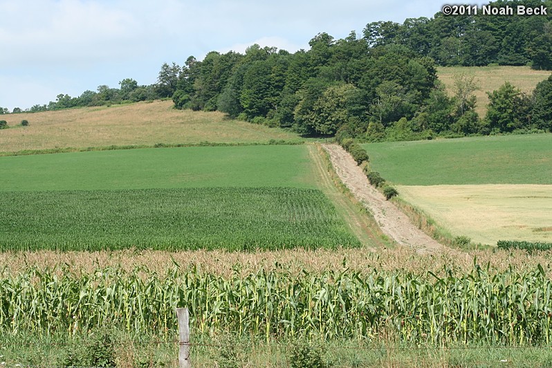 July 23, 2011: Fields across the road from the Quagmire Manor