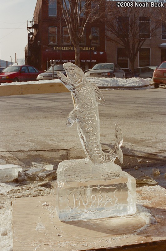 February 15, 2003: A fish ice sculpture