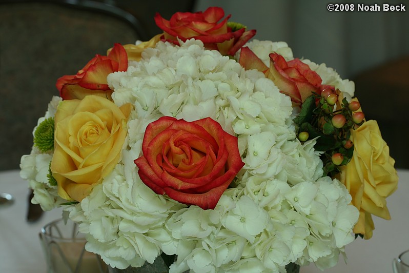 June 1, 2008: floral centerpiece