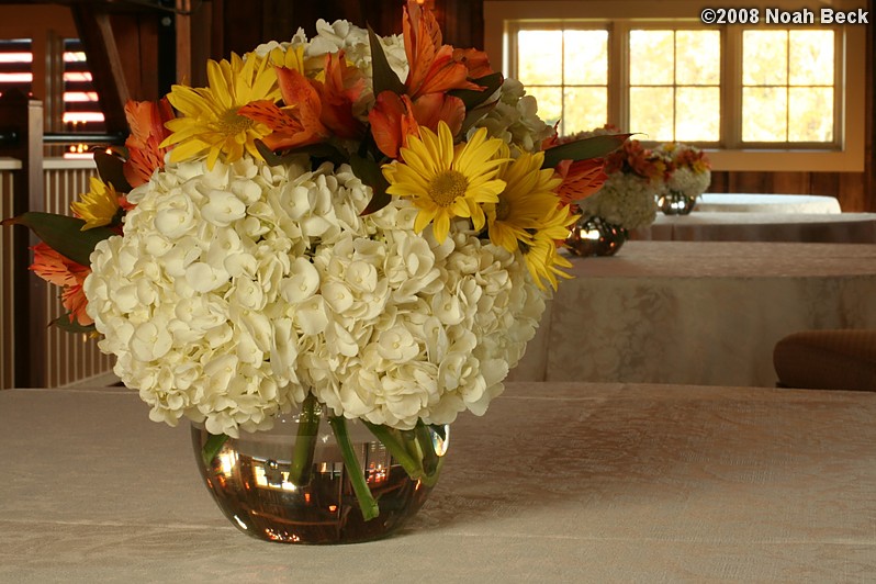 October 18, 2008: floral centerpiece