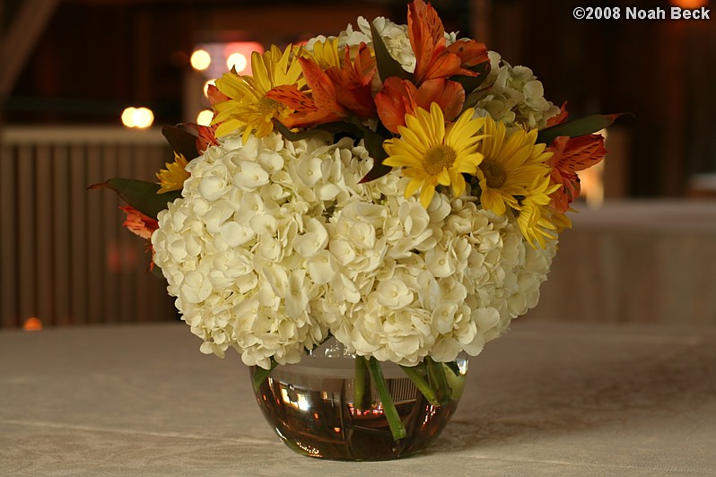 October 18, 2008: floral centerpiece