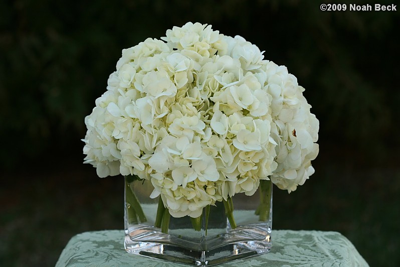 April 12, 2009: floral centerpiece