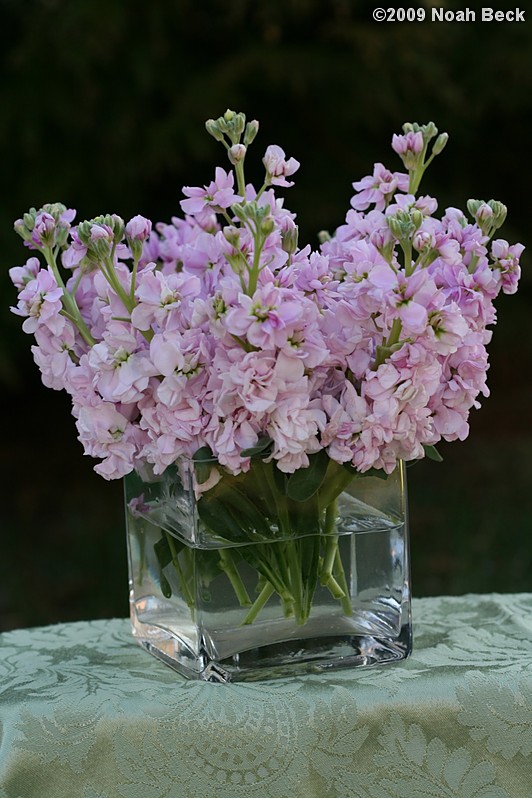 April 12, 2009: floral centerpiece