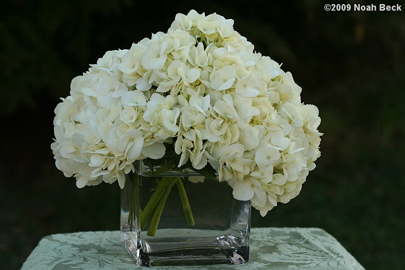 April 12, 2009: floral centerpiece