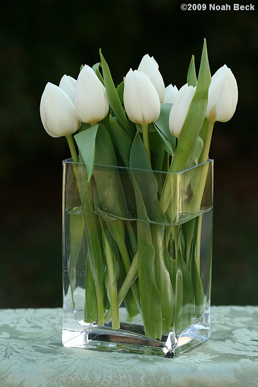 April 12, 2009: floral centerpiece