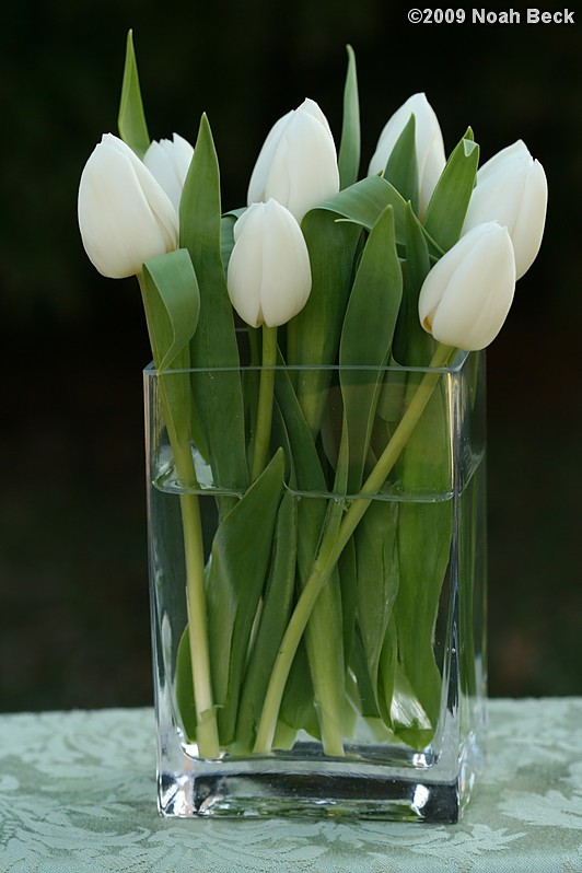 April 12, 2009: floral centerpiece