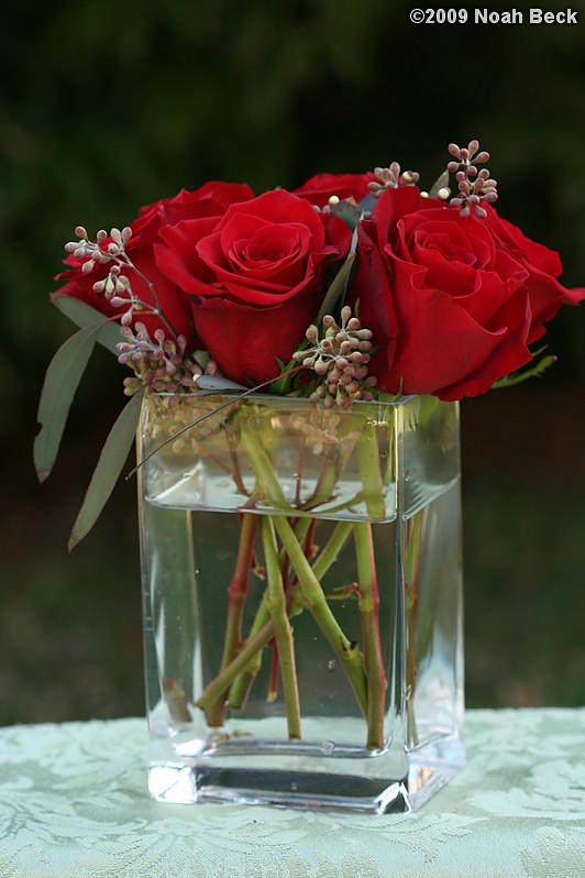 April 12, 2009: floral centerpiece