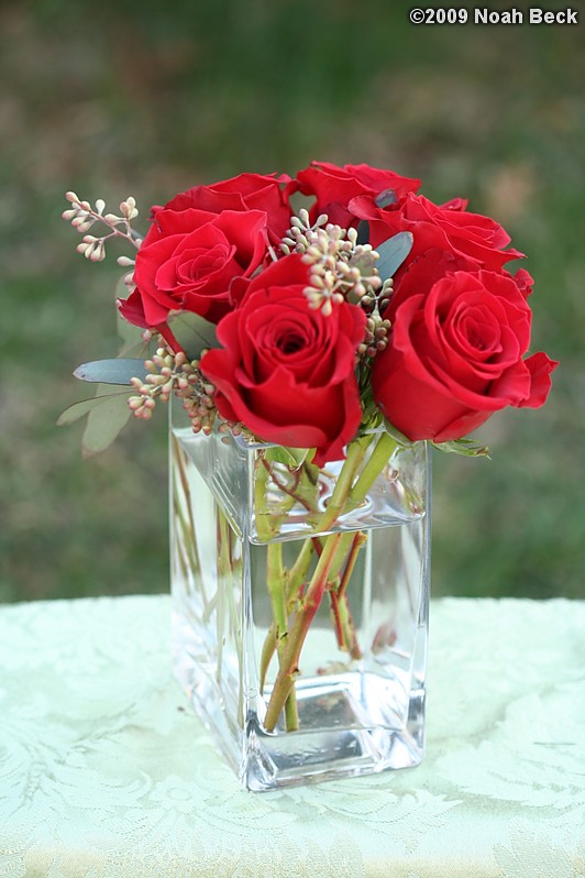 April 12, 2009: floral centerpiece