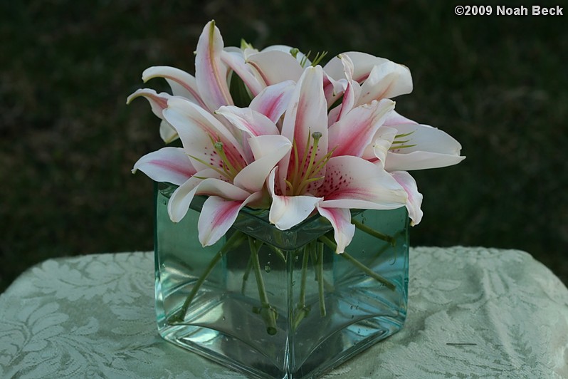 April 12, 2009: floral centerpiece