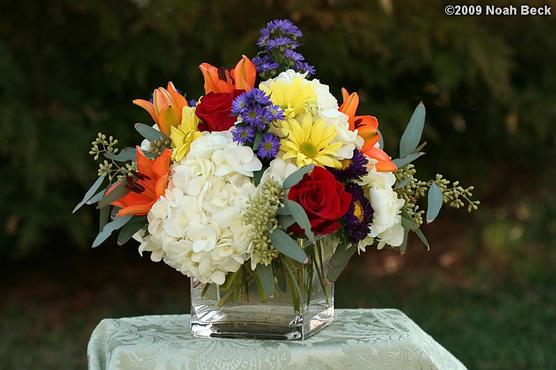 April 12, 2009: floral centerpiece