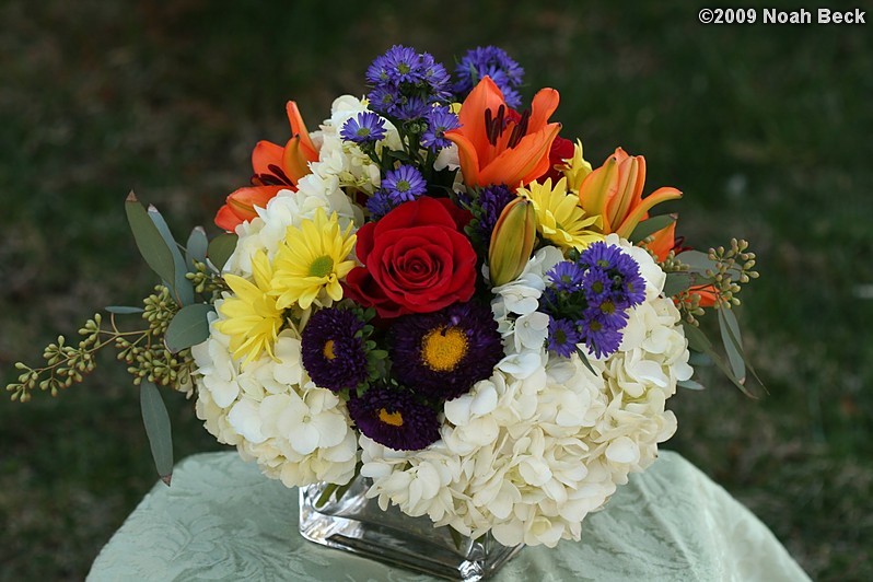 April 12, 2009: floral centerpiece