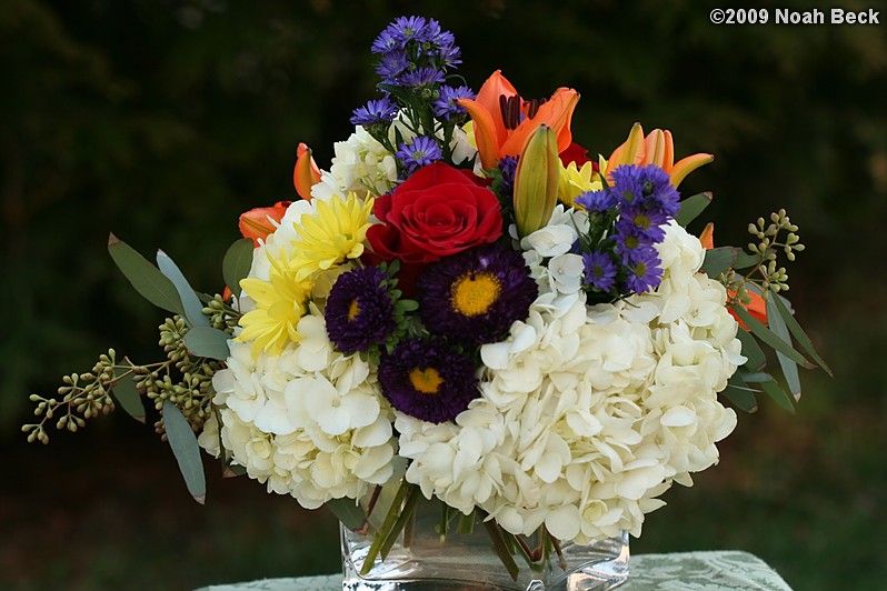 April 12, 2009: floral centerpiece