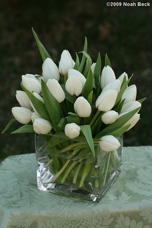 April 12, 2009: floral centerpiece