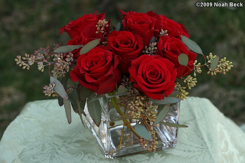 April 12, 2009: floral centerpiece