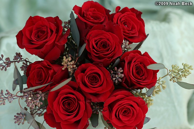 April 12, 2009: floral centerpiece