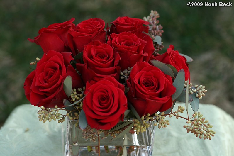 April 12, 2009: floral centerpiece