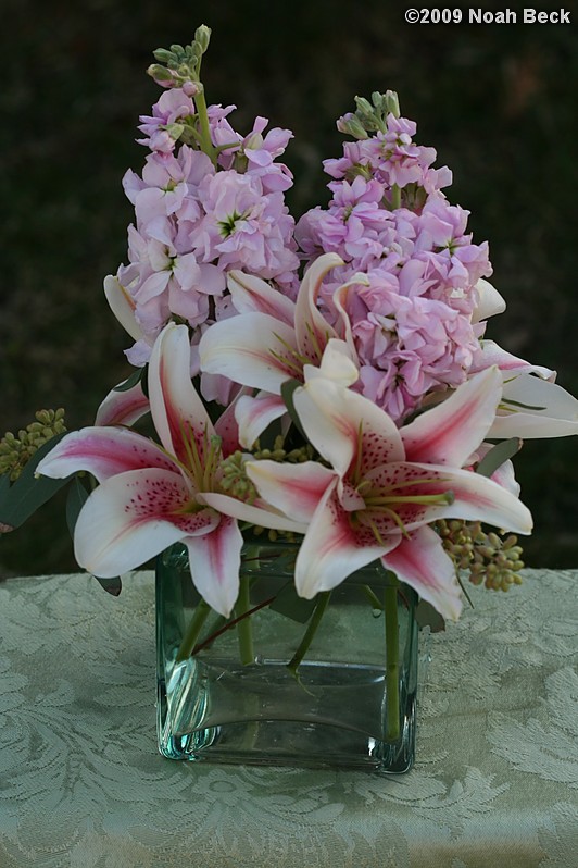 April 12, 2009: floral centerpiece