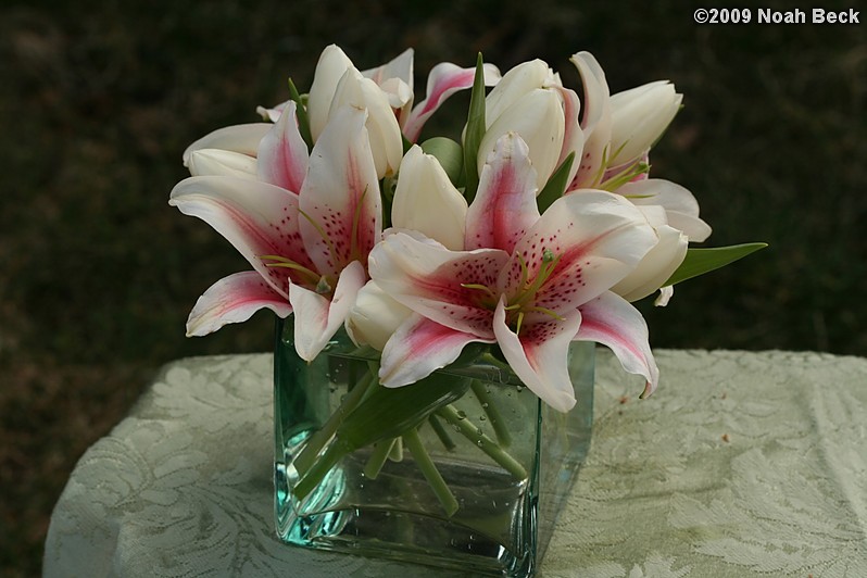 April 12, 2009: floral centerpiece