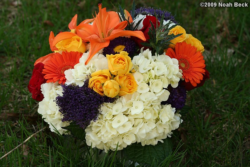 May 2, 2009: floral centerpiece