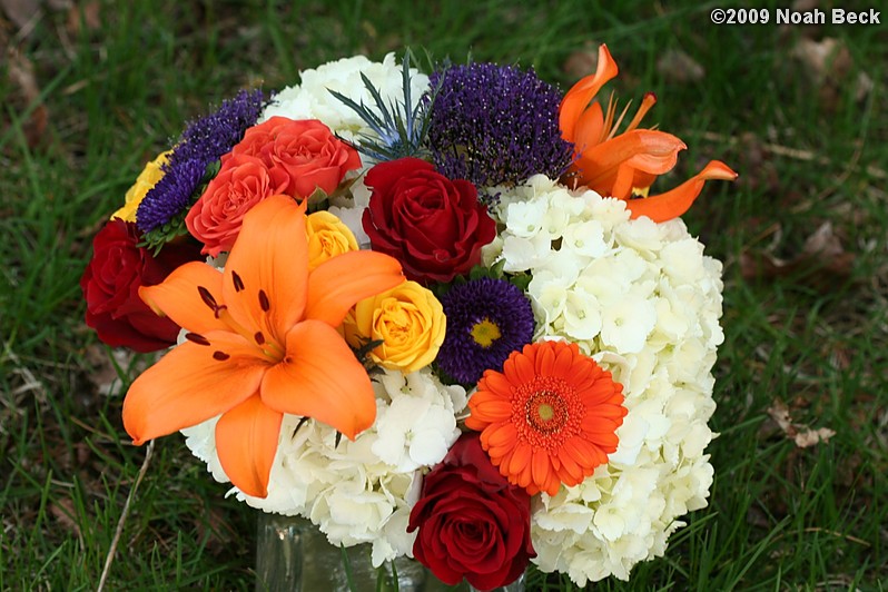 May 2, 2009: floral centerpiece