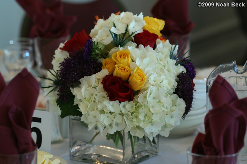 May 2, 2009: floral centerpiece