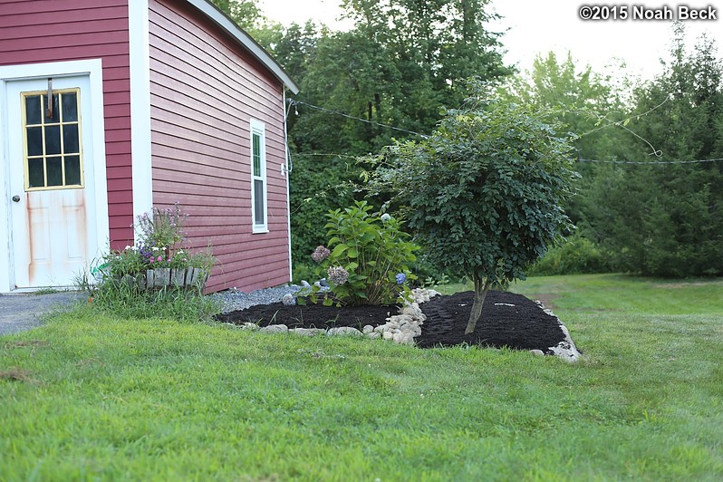 August 22, 2015: New flower garden by the barn, ready for planting