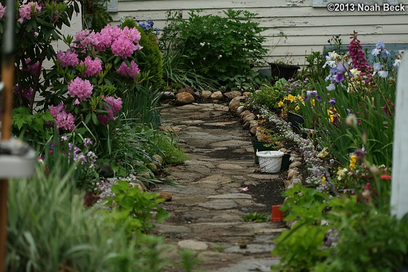 June 7, 2013: Flowers along the front walkway in early June