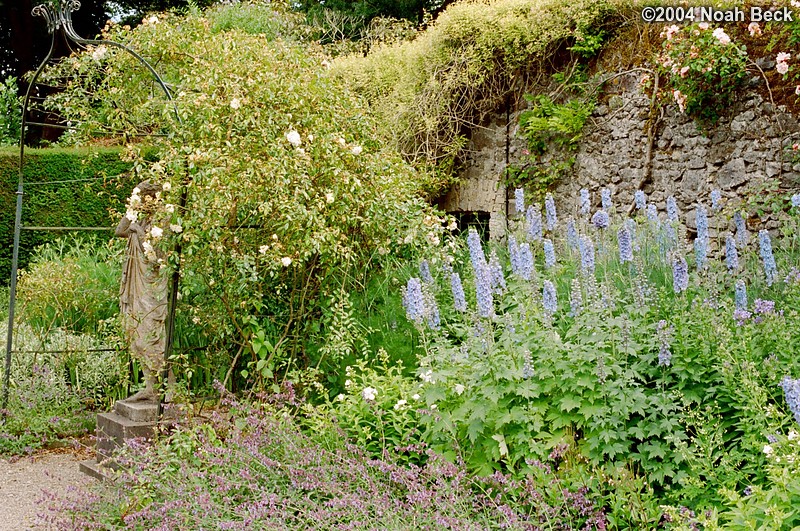 July 4, 2004: More flowers in the Millennium Garden at the Birr Castle Demesne.