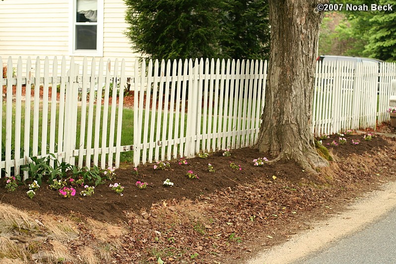June 2, 2007: the new front garden with impatiens