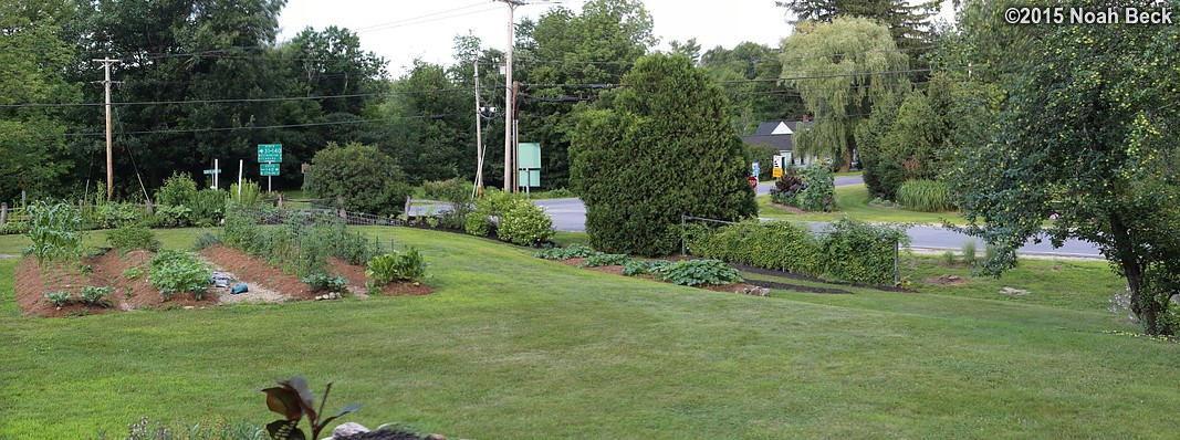 July 22, 2015: Front gardens