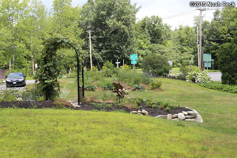 August 9, 2015: Looking down at the front gardens