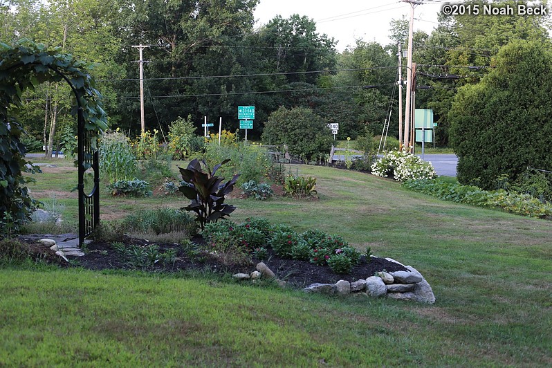 August 22, 2015: Looking down at the front gardens