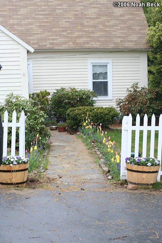 May 12, 2006: Front walkway with blooming spring bulbs