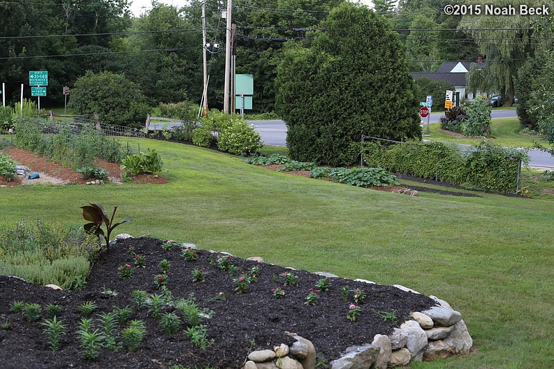 July 22, 2015: Looking down over the front yard