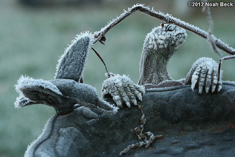 November 19, 2012: Frost on a birdbath and turtle statue