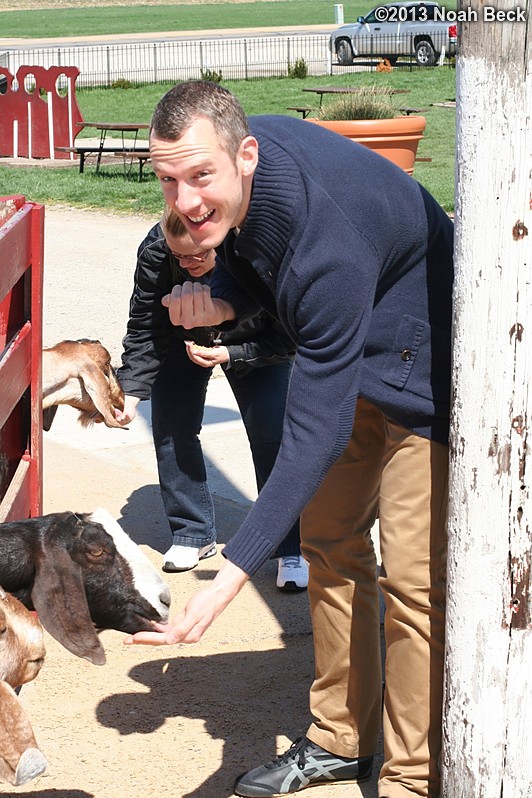 April 22, 2013: Gabe feeding a goat at Young&#39;s Dairy
